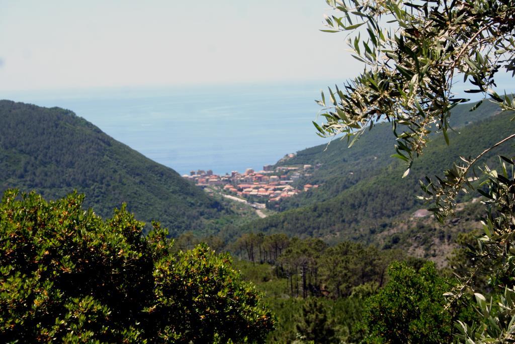 Hotel 5 Terre Nel Sole Deiva Marina Exterior photo
