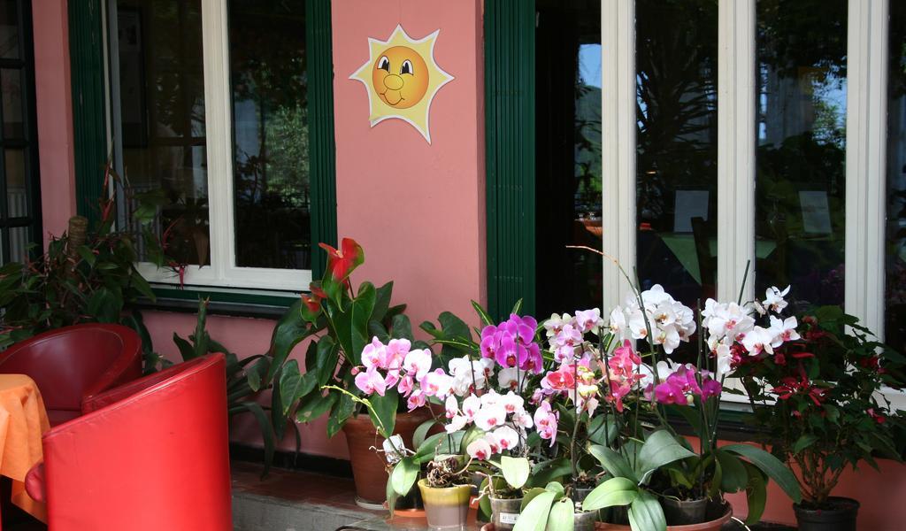 Hotel 5 Terre Nel Sole Deiva Marina Exterior photo